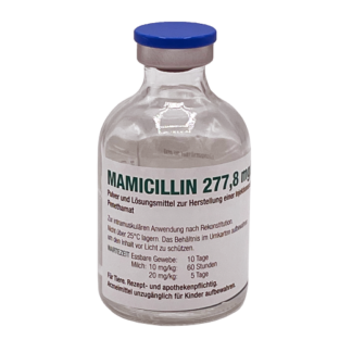 MAMICILLIN