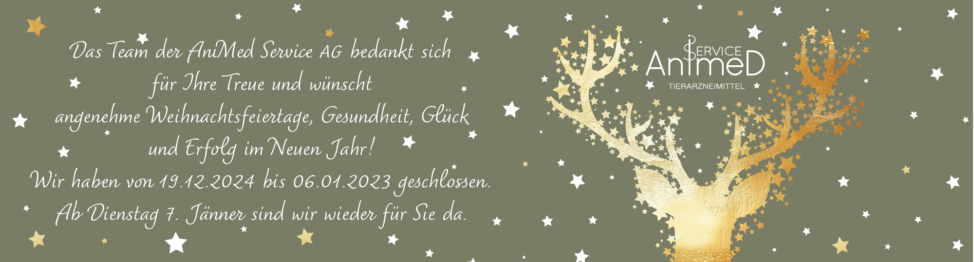 Frohe Weihnachten!